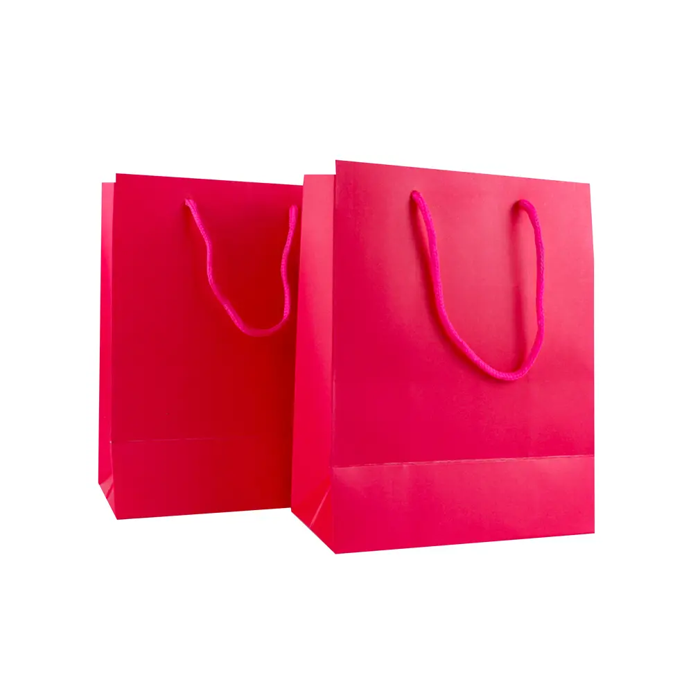 Bolsa de regalo lisa para múltiples ocasiones (12 piezas)