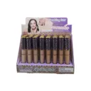 Corrector liquido (Set de 24 piezas)